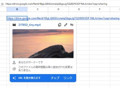 動画のURLを挿入したいセルに「Ctrlキー+Vキるー」の同時押しで動画のURLを貼り付け