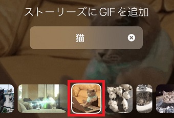 使いたいGIFをタップ