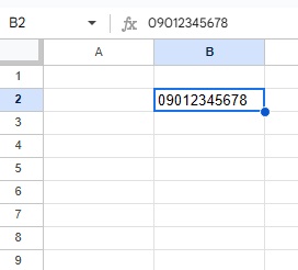 電話番号の先頭の0を消さずに入力することができるようになった