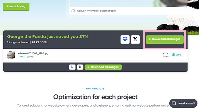 「Download all images」ボタンをクリック