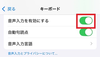 『音声入力を有効にする』をオンにする
