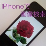 iPhoneでの画像検索について総まとめ！