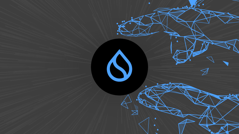 ビットワイズ、ステーキング対応「スイ(SUI)」現物ETFを米SECにS1申請