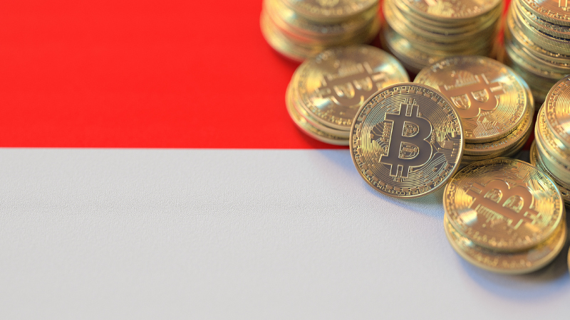 インドネシア金融サービス規制当局、許可・登録済み暗号資産事業29社を公表