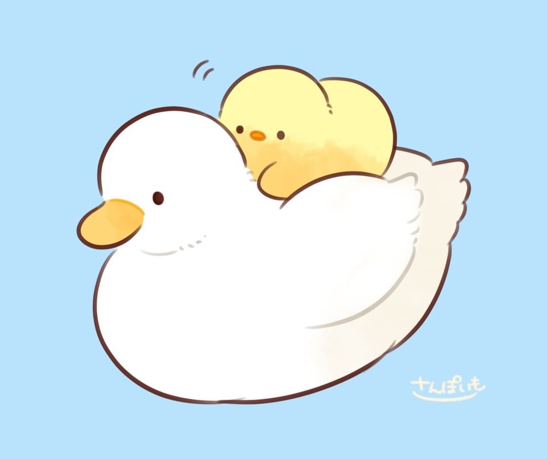 口コミ投稿：もっちり白いお友達🐤#もふピヨ #もふもふ #ひよこ #アヒル