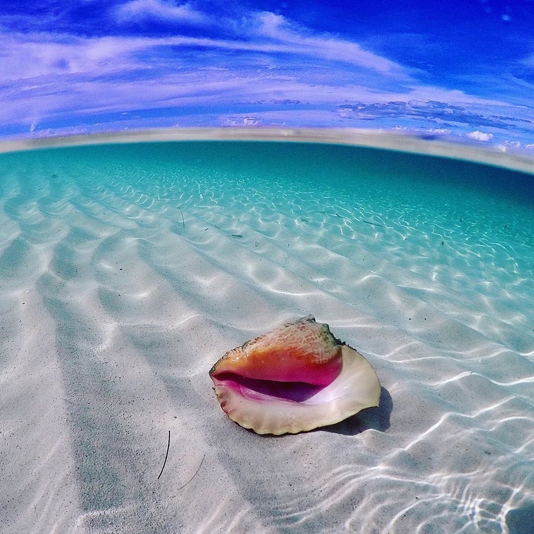 口コミ投稿：Rate the water out of 10!⁣👉 Follow @explore for more! 👈⁣⁣⁣👉 Follow @explore for…