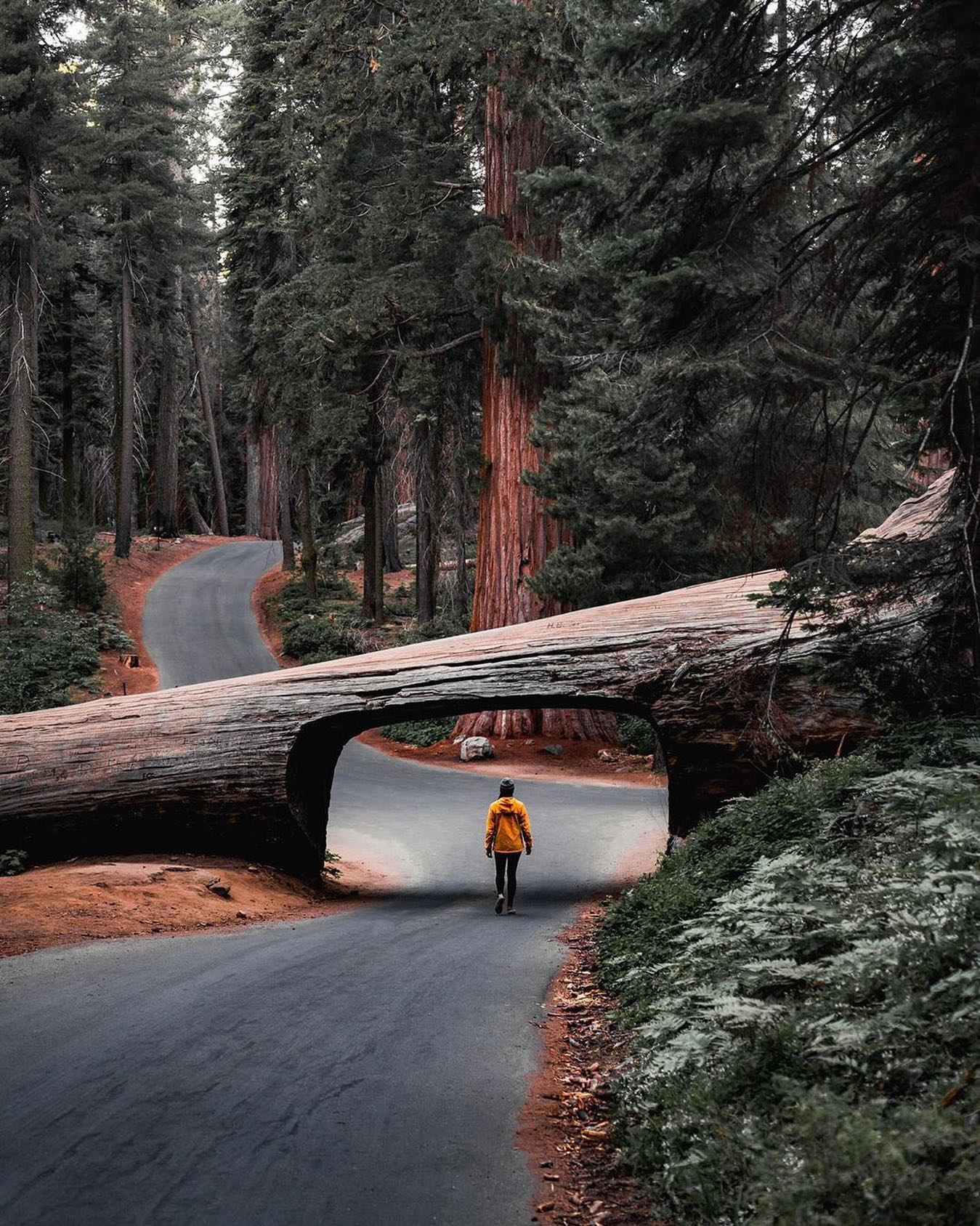 口コミ投稿：Who would you explore here with?⁣👉 Follow @explore for more! 👈⁣⁣⁣👉 Follow @expl…
