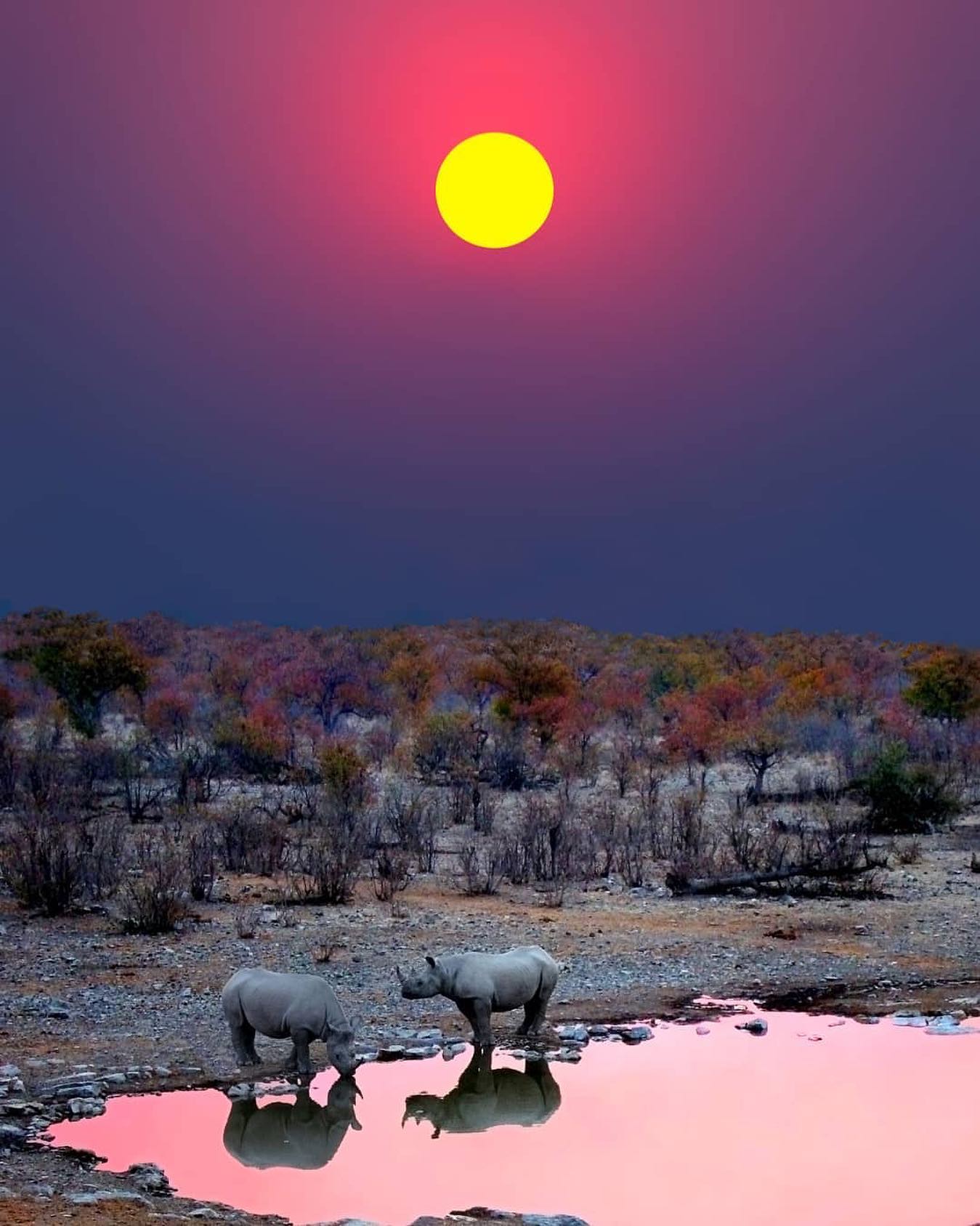 口コミ投稿：Have you ever been on safari?⁣⁣👉 Follow @explore for more! 👈⁣⁣⁣⁣👉 Follow @explo…