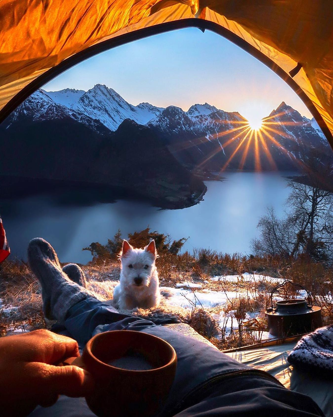 口コミ投稿：Adventures with man’s best friend 🐶⁣👉 Follow @explore for more! 👈⁣⁣⁣👉 Follow @e…