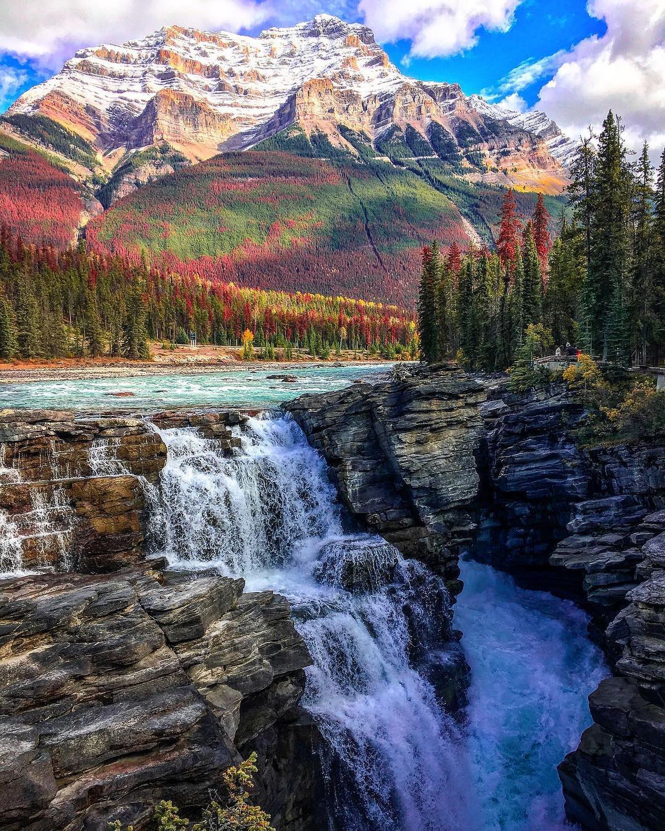 口コミ投稿：Who would you explore Alberta with?⁣👉 Follow @explore for more! 👈⁣⁣⁣👉 Follow @e…
