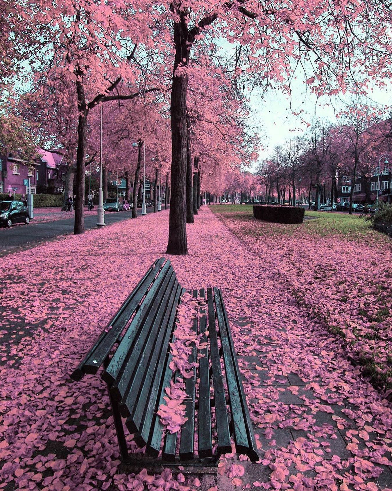 口コミ投稿：Who would you explore Amsterdam with?⁣👉 Follow @explore for more! 👈⁣⁣⁣👉 Follow …