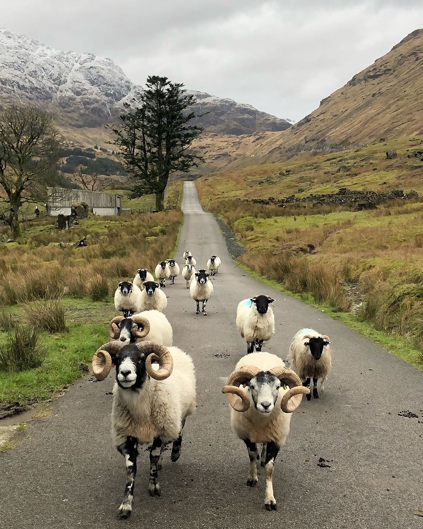 口コミ投稿：Who would you explore Scotland with?⁣👉 Follow @explore for more! 👈⁣⁣⁣👉 Follow @…