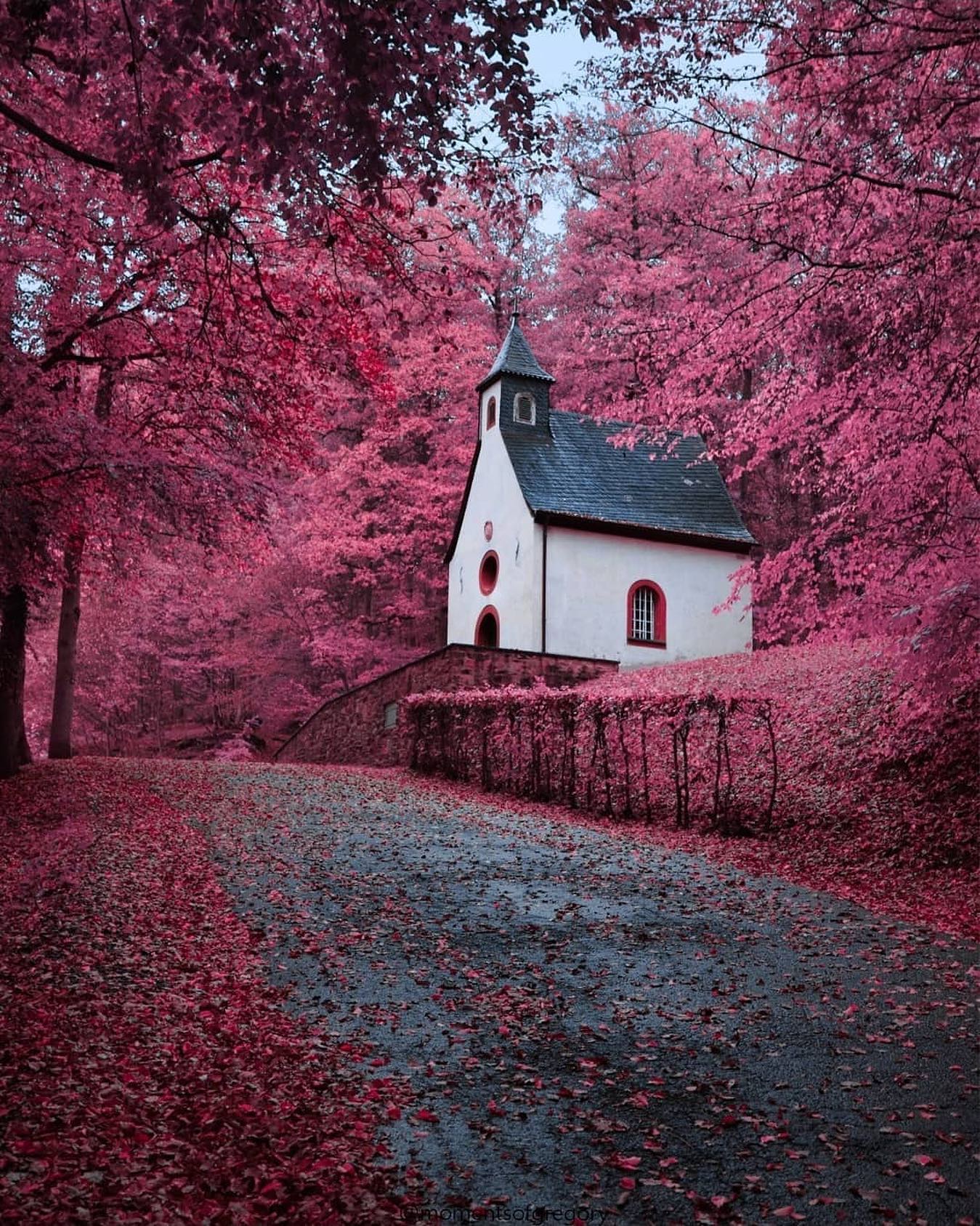 口コミ投稿：Who would you explore Germany with?⁣👉 Follow @explore for more! 👈⁣⁣⁣👉 Follow @e…