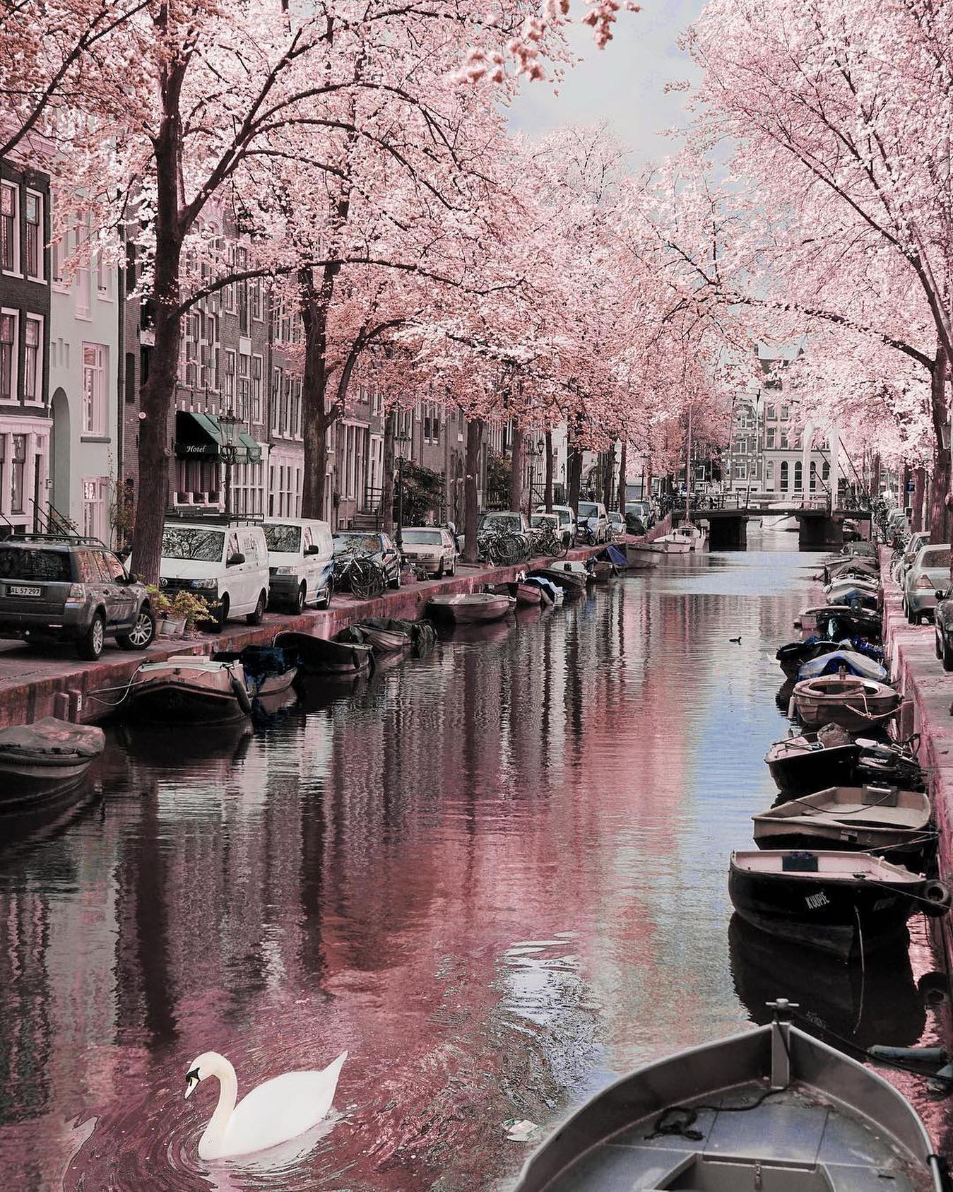 口コミ投稿：Who would you explore Amsterdam with?⁣👉 Follow @explore for more! 👈⁣⁣⁣👉 Follow …