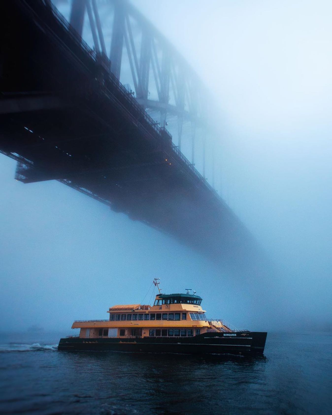 口コミ投稿：How spooky does Sydney look in the fog!⁣👉 Follow @explore for more! 👈⁣⁣⁣👉 Follo…