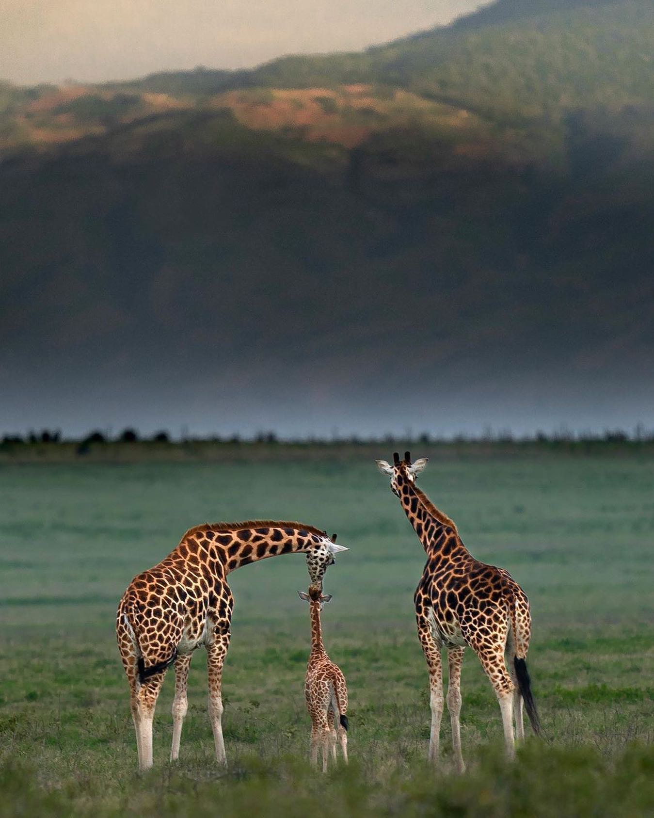 口コミ投稿：Rate this out of 10! ❤️⁣👉 Follow @explore for more! 👈⁣⁣⁣⁣👉 Follow @explore for …