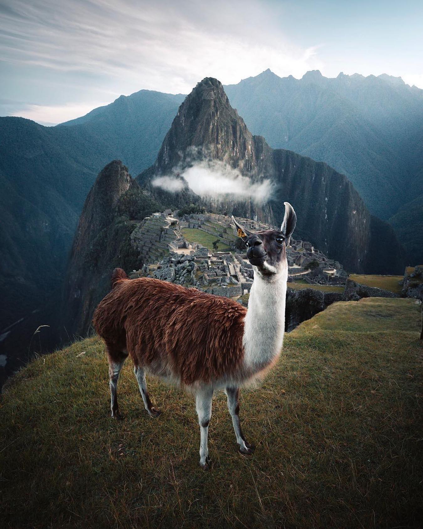 口コミ投稿：Who would you explore Peru with?⁣👉 Follow @explore for more! 👈⁣⁣⁣⁣👉 Follow @exp…