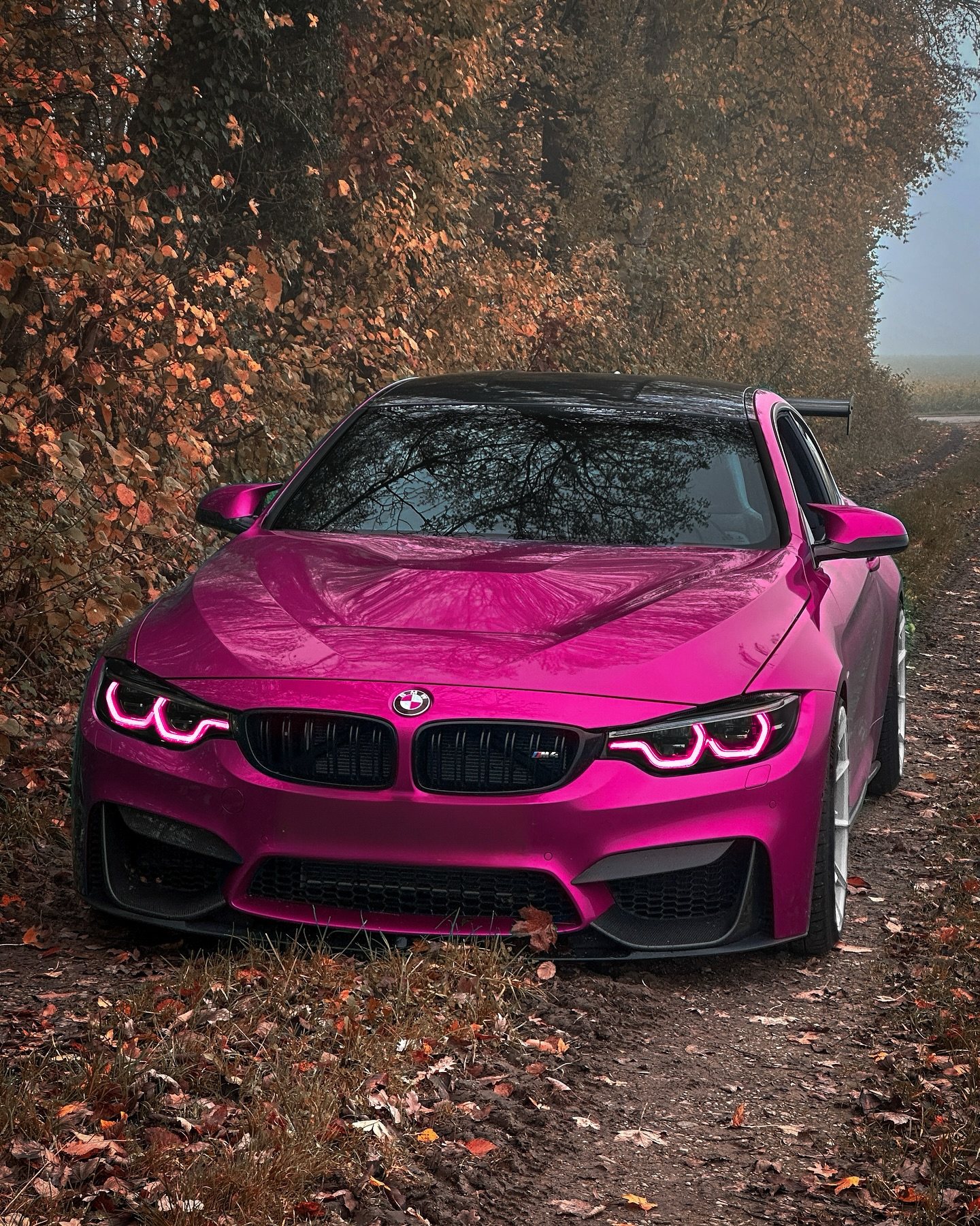 口コミ投稿：Time for a new wrap ? #bmw #car #lifestyle #bmwm #racecar #postmybmw #mpower #p…