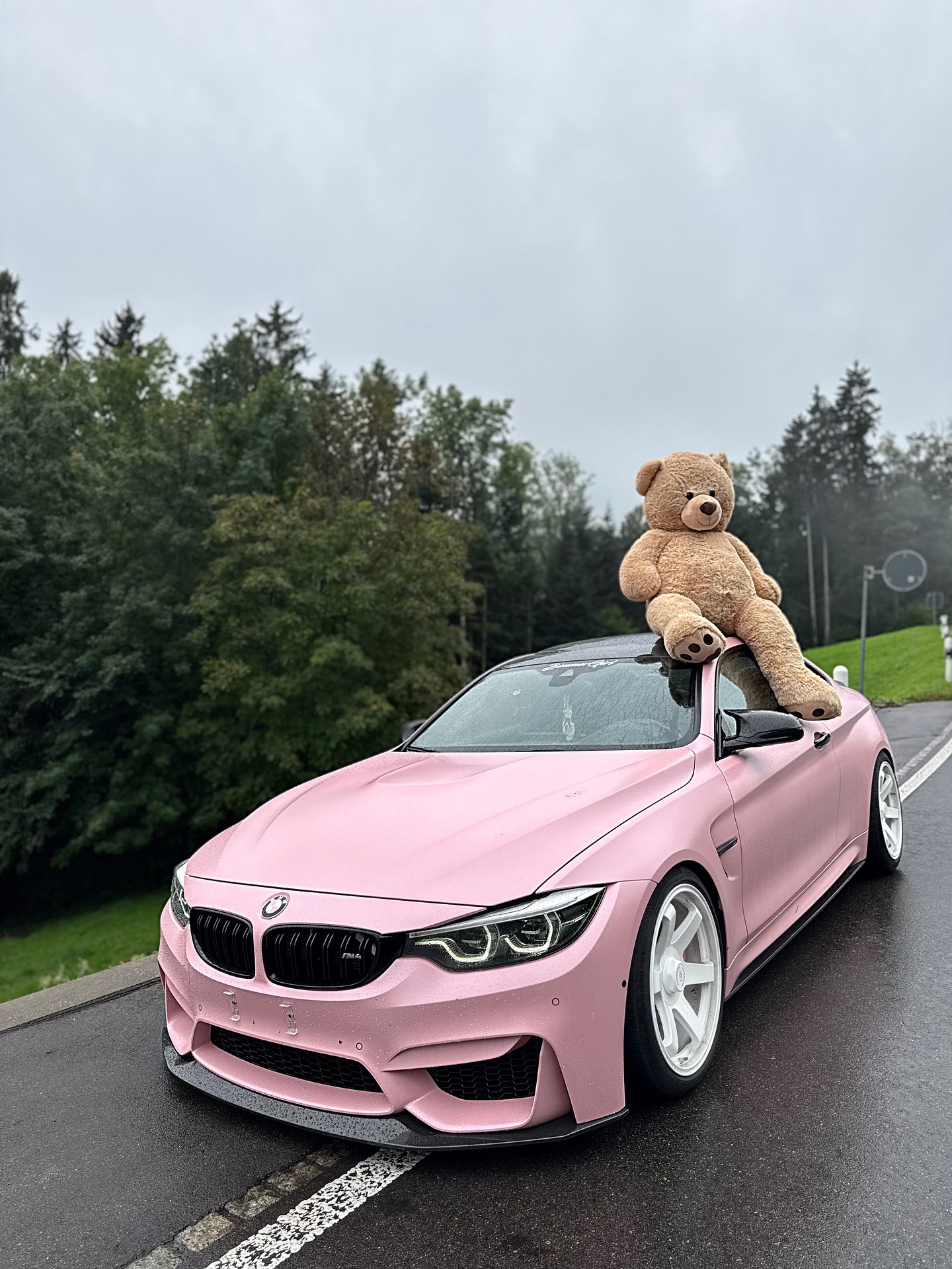 口コミ投稿：JUST A GIRL 💘🧸 BMW M4 Competition -@bimmergirls.ch #bmwm #bmw #mpower #bimmer #…
