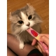 健太郎のインスタ投稿モニター0名様募集！/モニター・サンプル企画