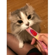 「健太郎のブログorインスタ投稿モニター0名様募集！」の画像、阿部株式会社のモニター・サンプル企画