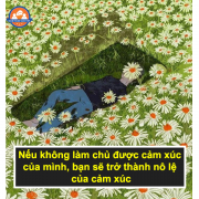 「Event Inst」の画像、いしいたばこIshiiのモニター・サンプル企画