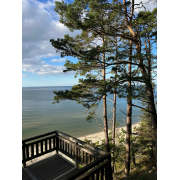 「Event 0123」の画像、いしいたばこIshiiのモニター・サンプル企画