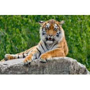 「Event preshare after s3 - 02」の画像、Company for mysql 8のモニター・サンプル企画