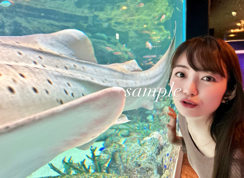 森田涼花 | WithLIVEコレクション