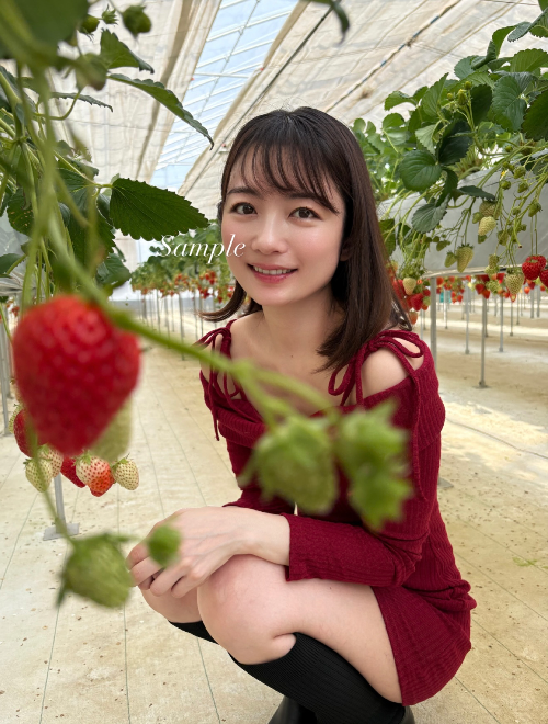 森田涼花 | WithLIVEコレクション