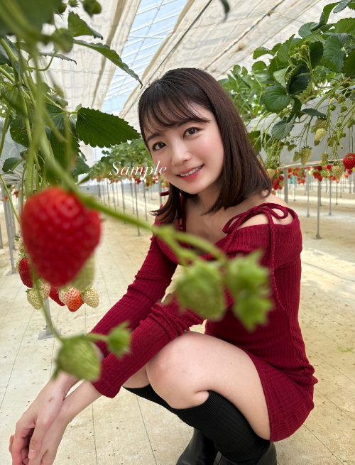 森田涼花 | WithLIVEコレクション