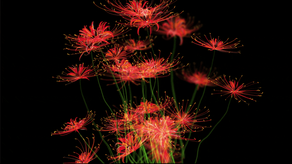 The Flower of the Other Shore