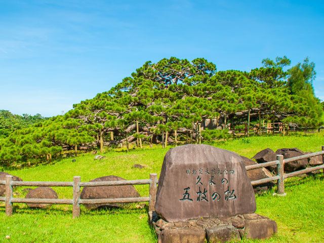 久米島空港レンタカー料金比較 格安予約 乗り捨て可 旅楽
