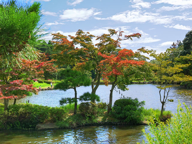 二俣川駅周辺レンタカー料金比較・格安予約！乗り捨て可【旅楽】