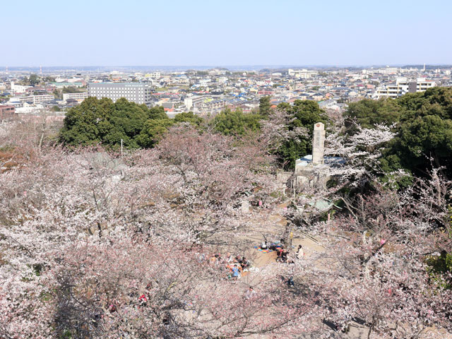 木更津駅周辺レンタカー料金比較・格安予約！乗り捨て可【旅楽】