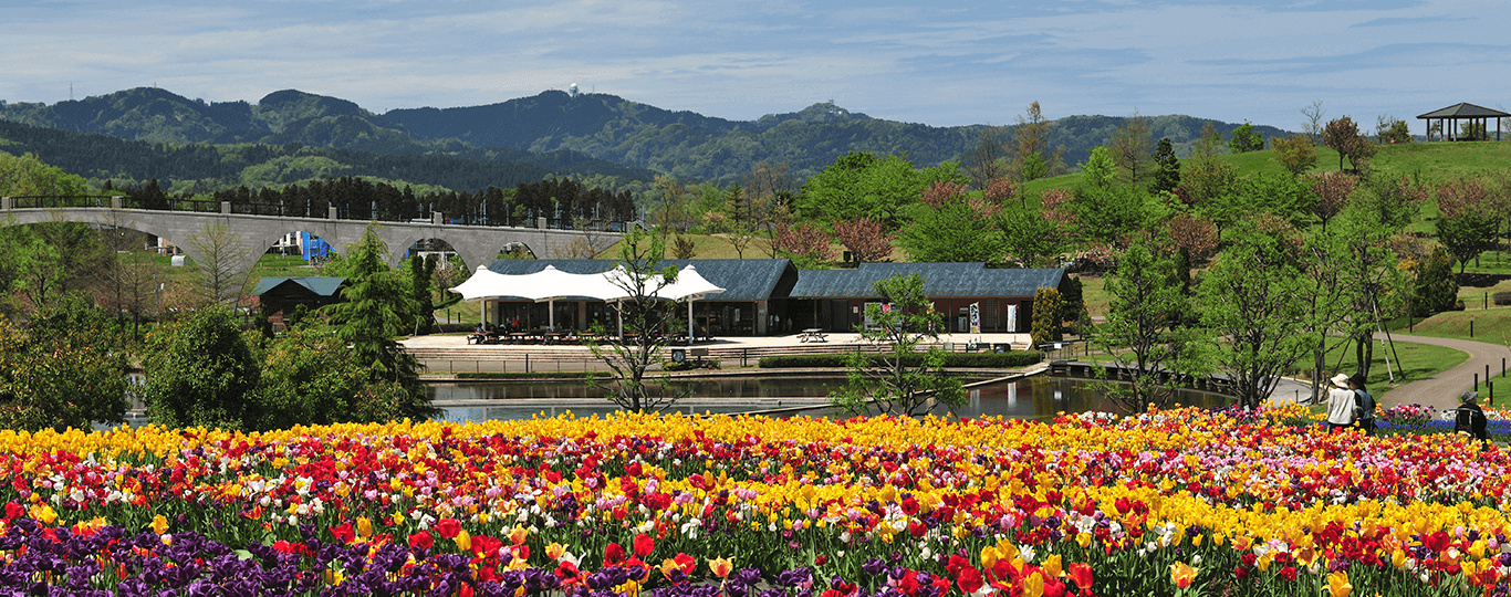 新潟県