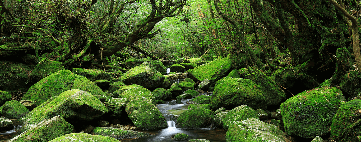 鹿児島県