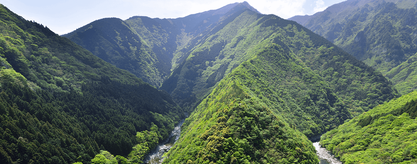 徳島県