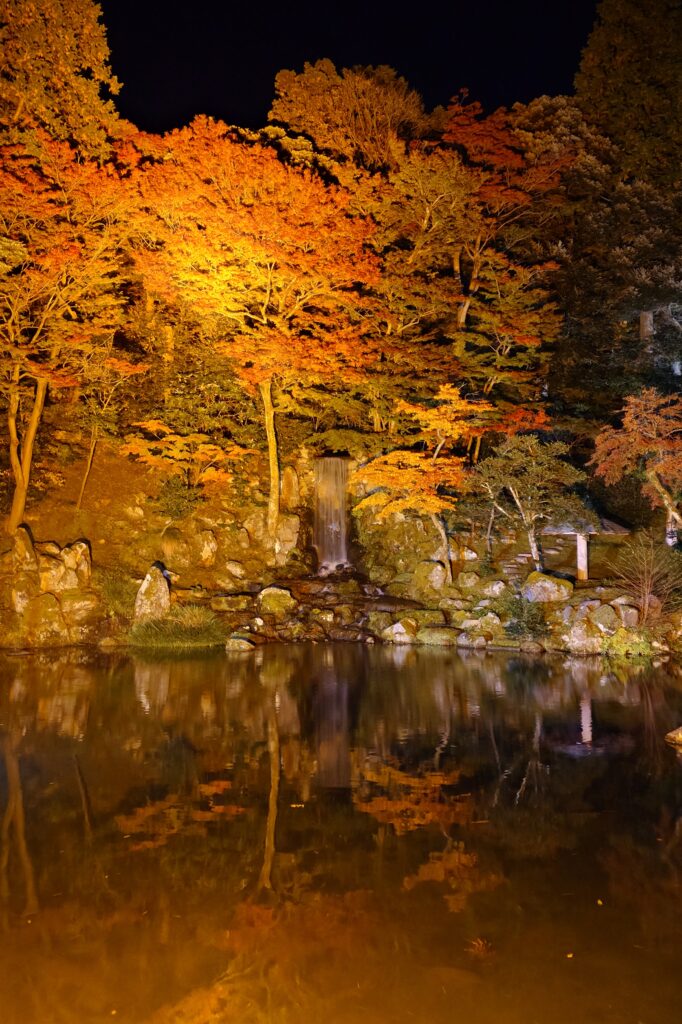 金沢城・兼六園四季物語～秋の段～（金沢城・兼六園ライトアップ）
金沢市の雪つり、紅葉、水鏡、バイオリン生演奏
無料開放中
