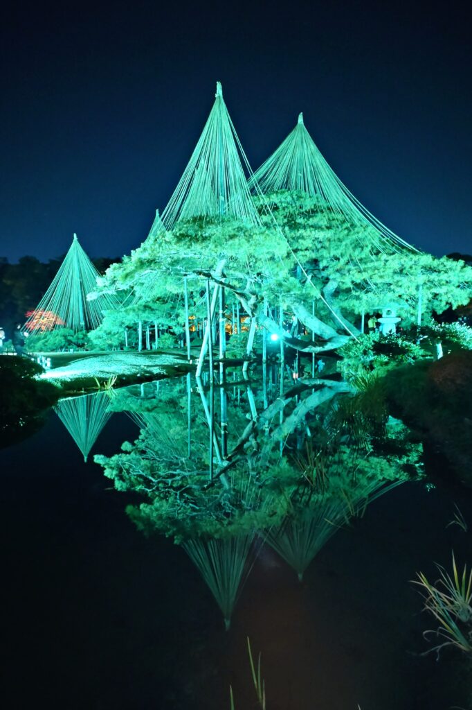 スタッフの日常