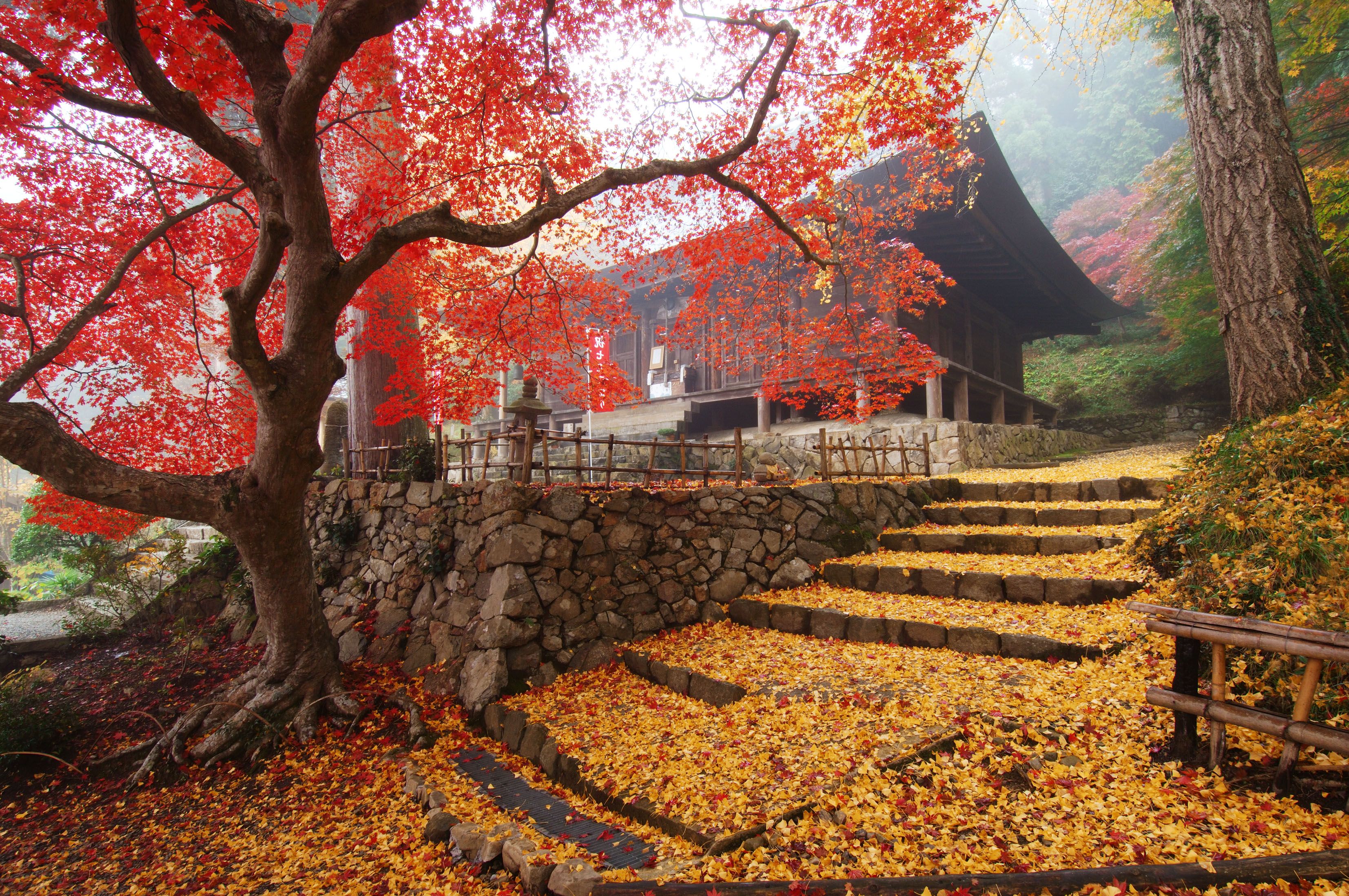 大国寺 (10).jpg