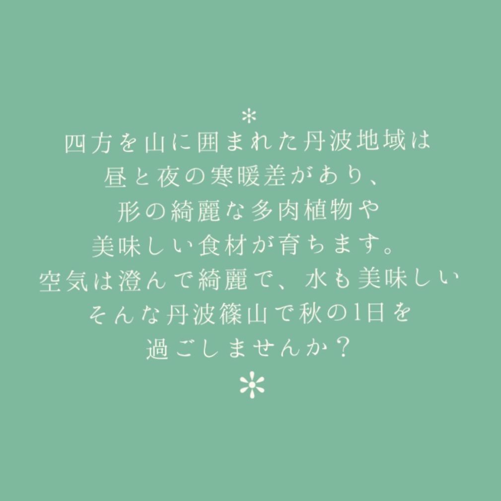 11月丹波篠山多肉植物-2.jpeg