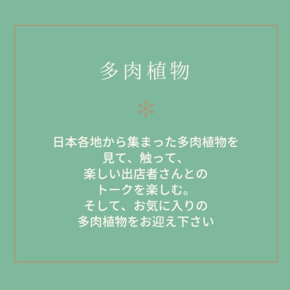 11月丹波篠山多肉植物3.jpeg