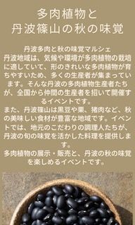 11月丹波篠山国際博6.jpeg