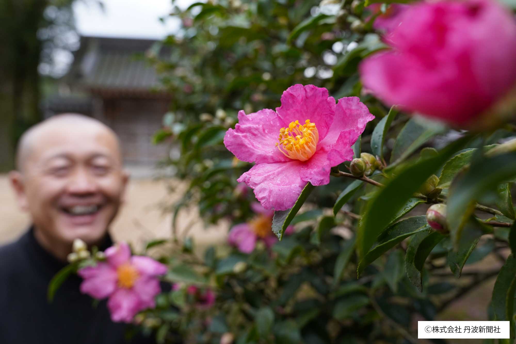 120.1201Z　西方寺　サザンカ-(2)56_-01.jpg