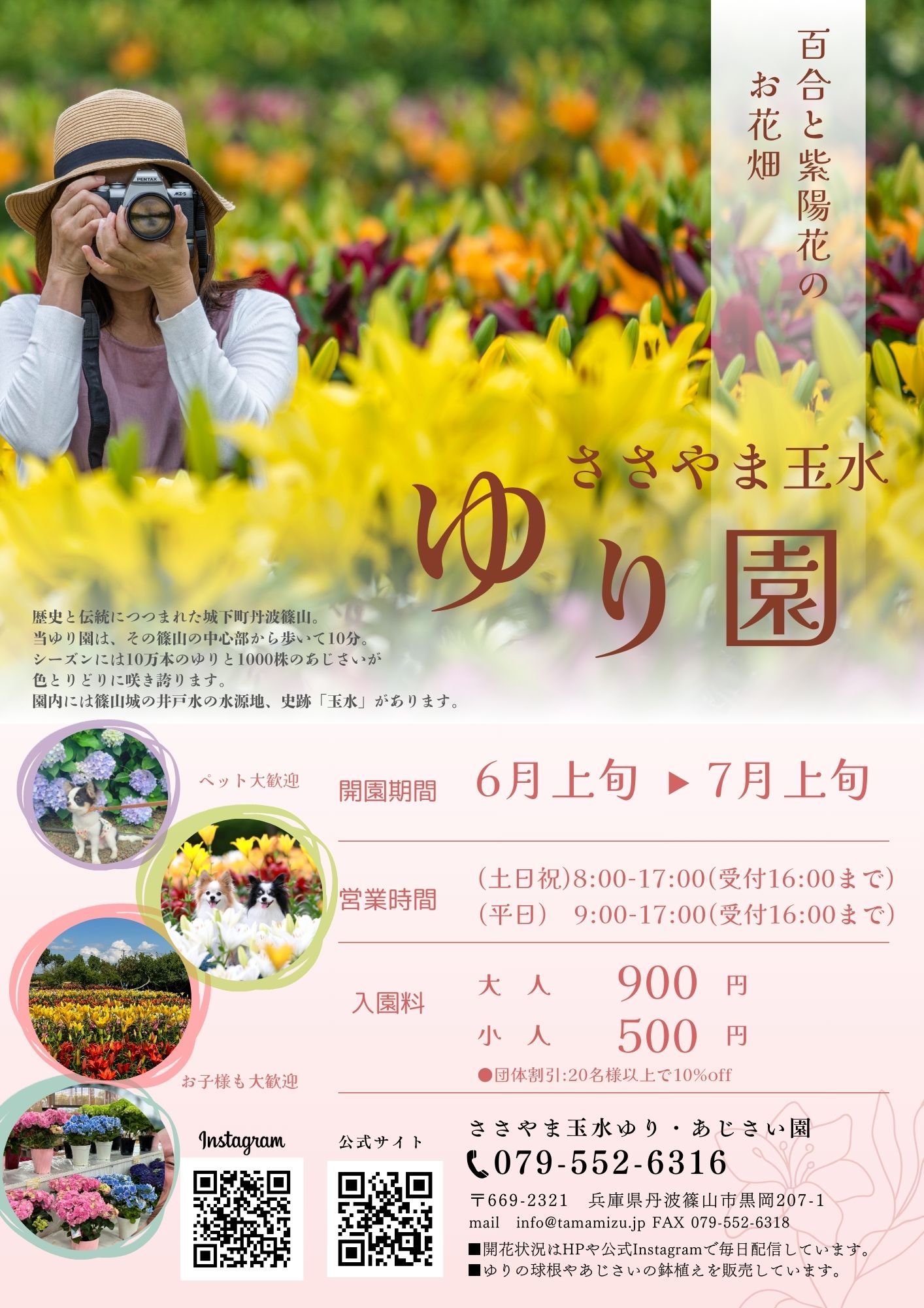 とっておきの_お花畑_(2).jpg