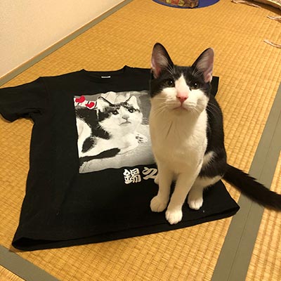 お客様のプリント作成事例（クチコミ）