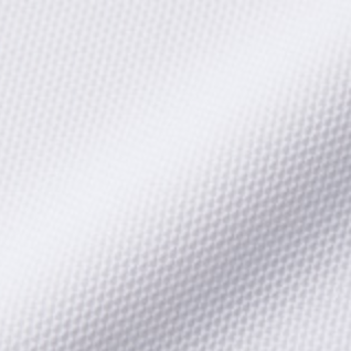 スペシャルドライカノコポロシャツの生地画像