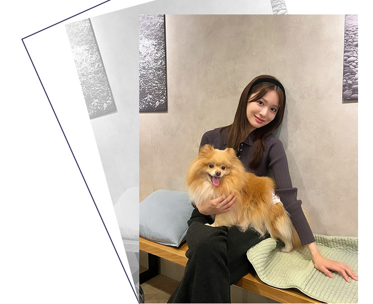 プロポーションボディドレッシング