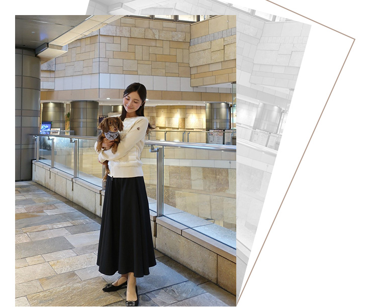 プロポーションボディドレッシング